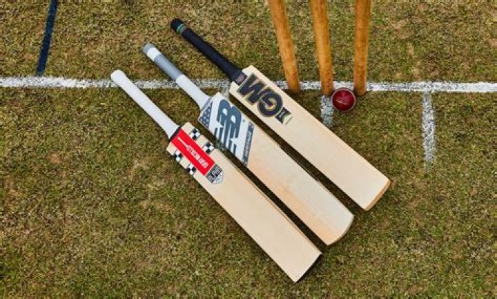 How heavy is a cricket bat?