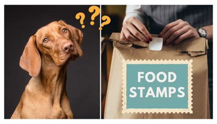Question: Can I Buy Dog Food With Food Stamps