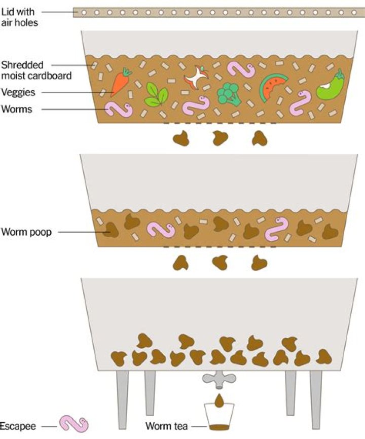What do I do if my worm farm is too wet?