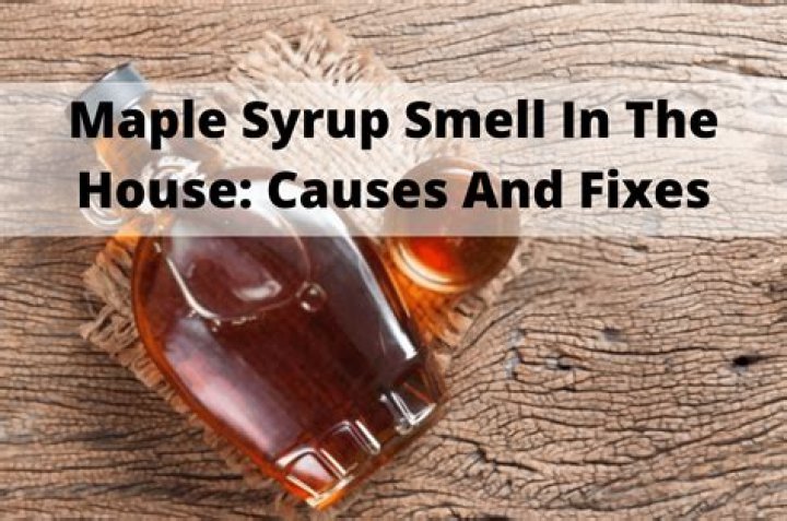 Why Do My Dogs Smell Like Maple Syrup